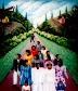 Caribbean Art Gallery